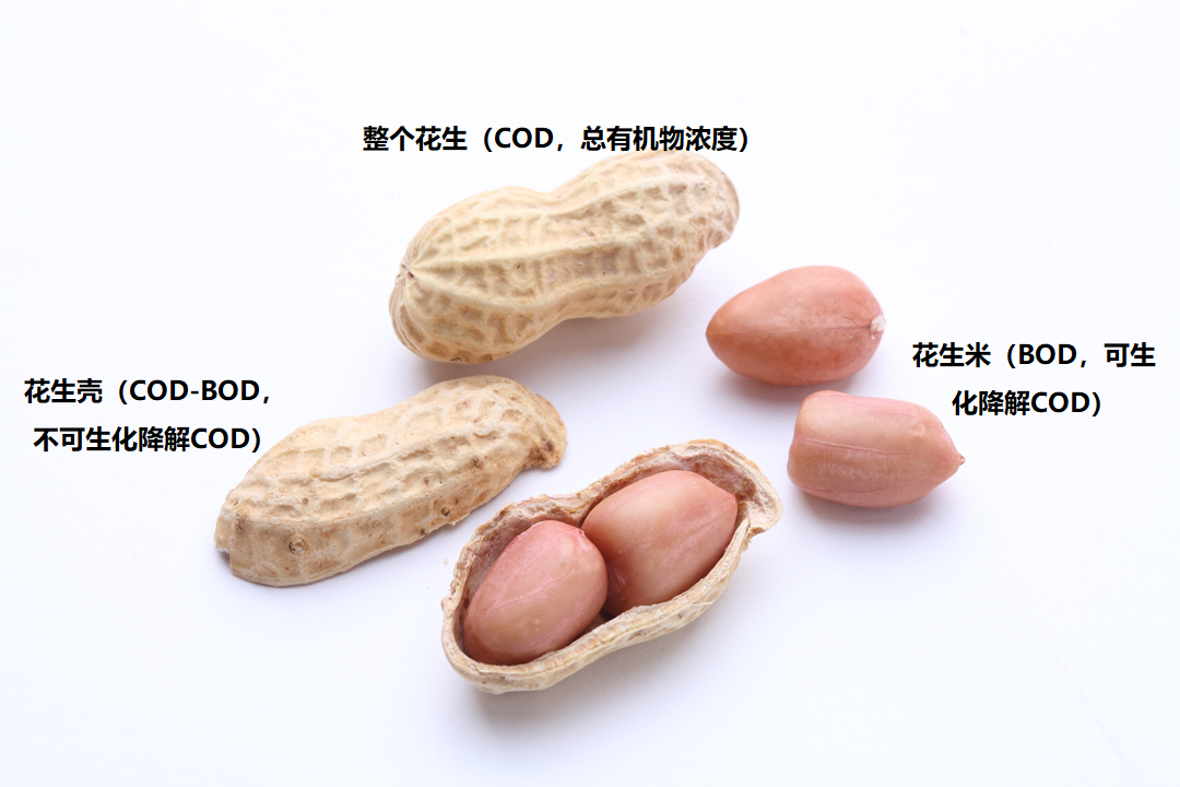 COD和BOD的概念和关系