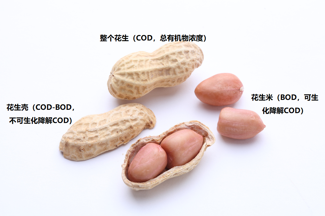 COD和BOD的概念和关系(图2)